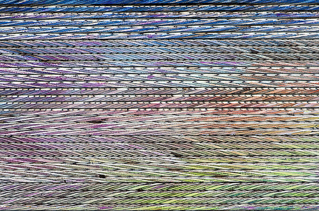 L.A Biscotti, detail